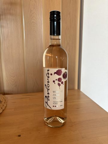 455824003_1257161452385330_3297931697193306036_n