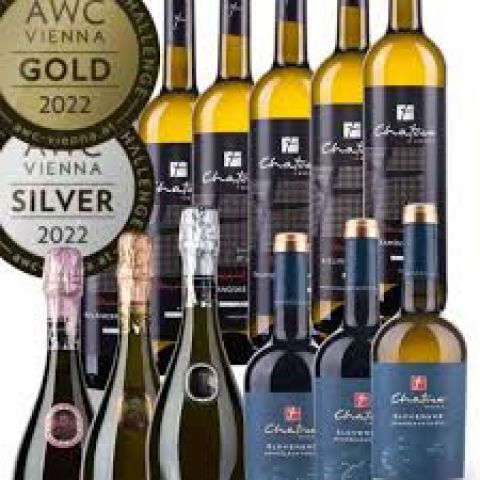 vino-2-shebo